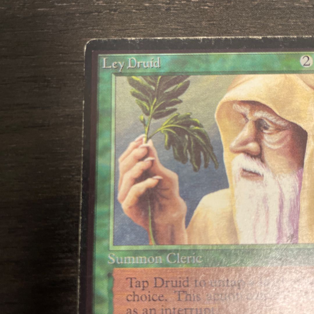 草原のドルイド僧/Ley Druid LEB