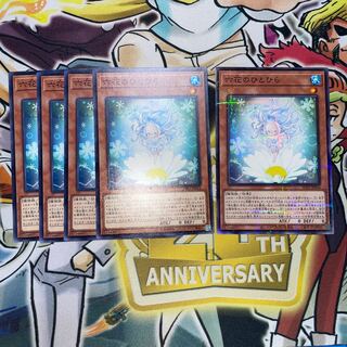 Rikka Petal parallel normal JP054