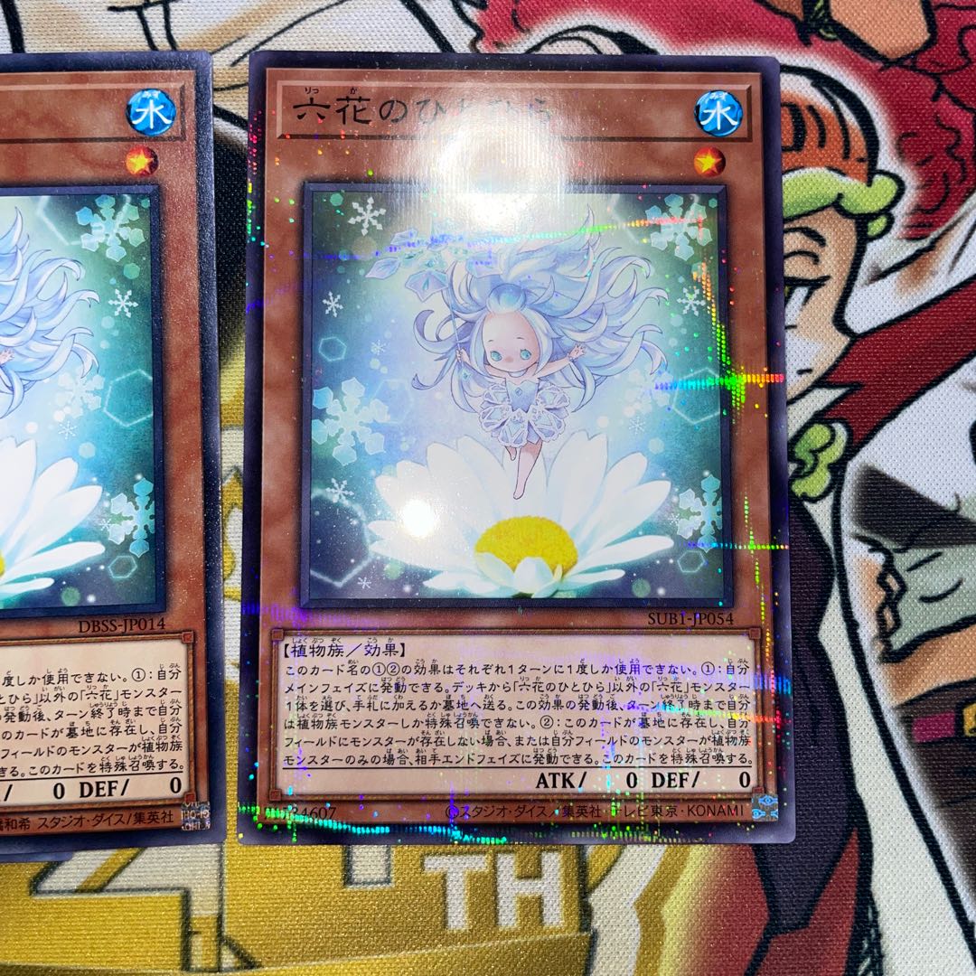 Rikka Petal parallel normal JP054