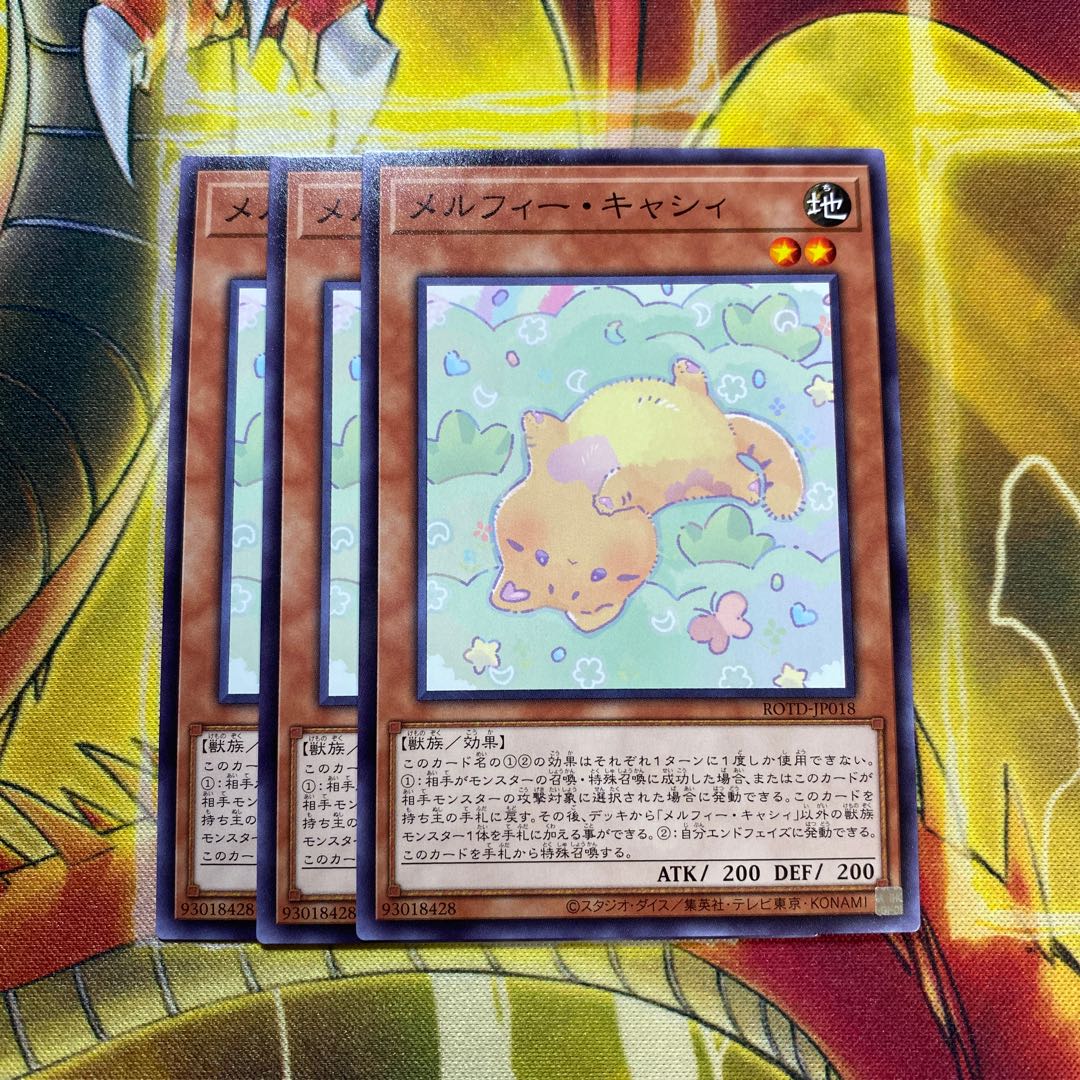 メルフィー・キャシィ N