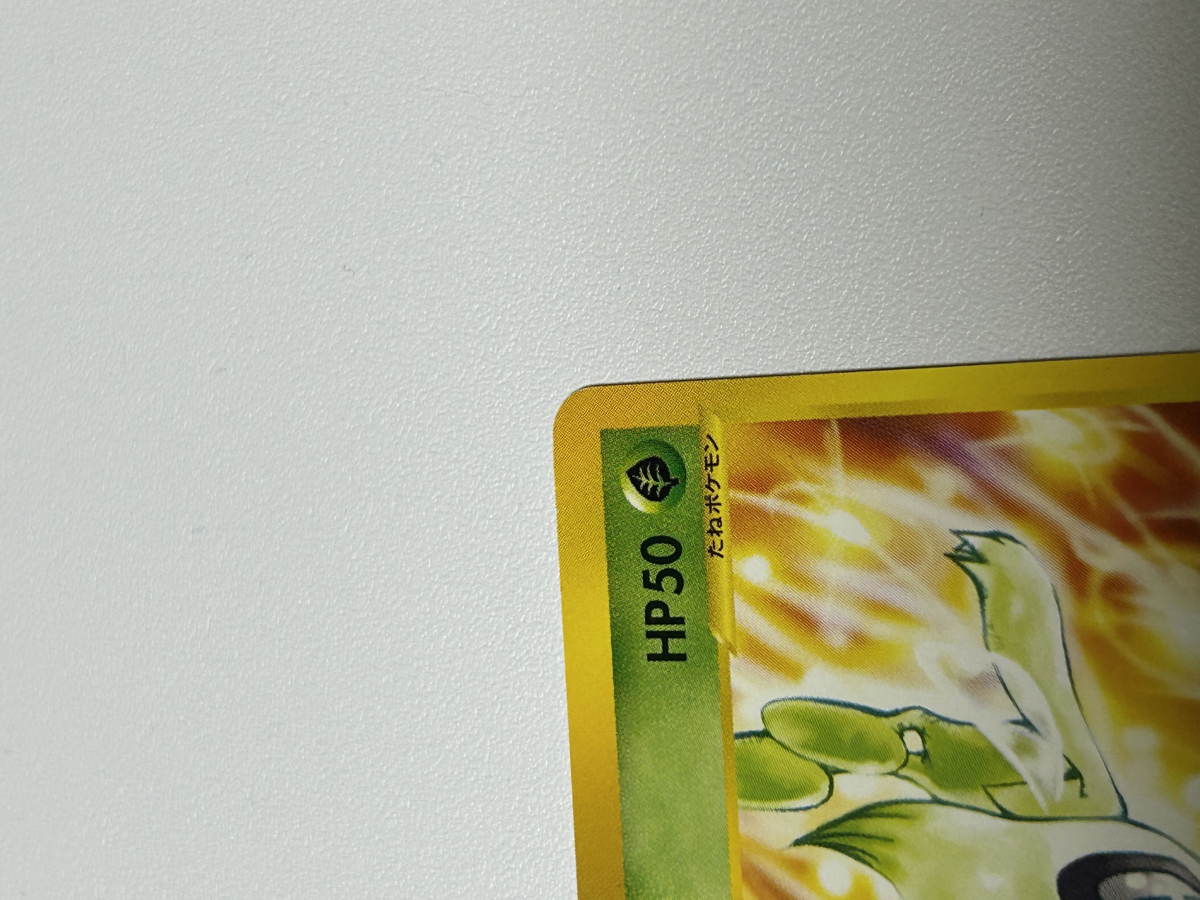 Celebi Promo