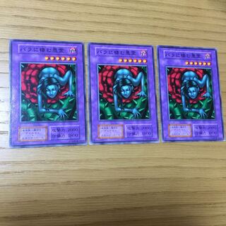 バラに棲む悪霊 3点セット