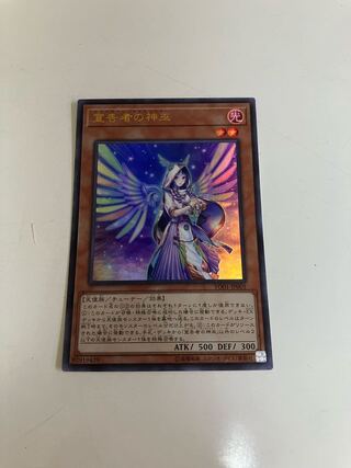 Diviner of the Herald