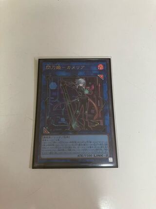 Sparkling Sword Princess - Camellia