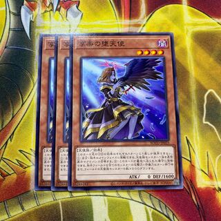 享楽の堕天使 N