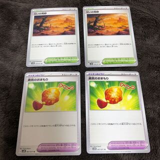 Wasteland of Woe Courage