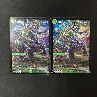 環嵐!ホールインワン・ヘラクレス SR S8/S8 2枚