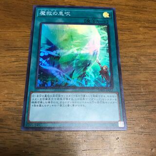 遊戯王　魔救の息吹　スーパーレア
