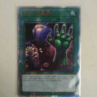 遊戯王　おろかな重葬　20THシク