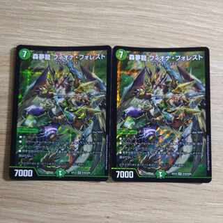 森夢龍 フィオナ・フォレスト SR S16/S20