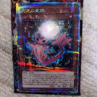 蛇眼の炎燐 QCSE PHNI-JP012