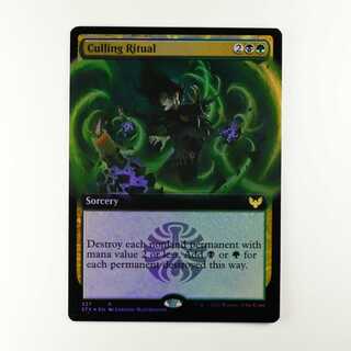 選別の儀式 レア 337/275 ストリクスヘイヴン：魔法学院 英語 拡張フォイル