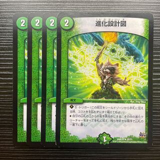 Evolutionary blueprint R 25/71