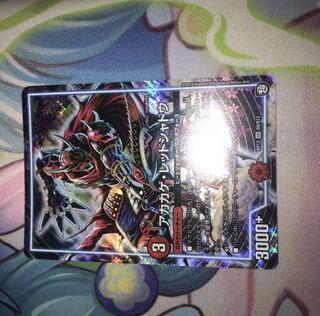 アカカゲ・レッドシャドウ