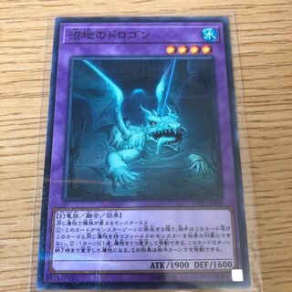 沼地のドロゴン P-N