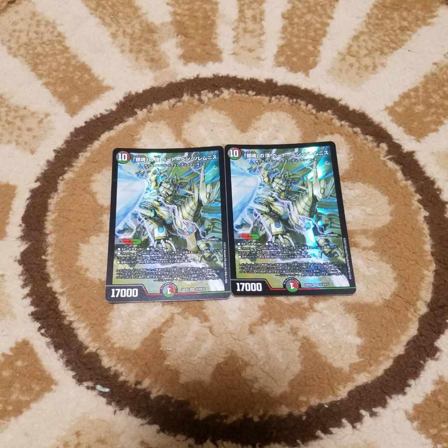 「鎮魂」の頂 ベートーベン・ソレムニス SR S13/S15