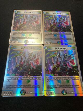 天災 デドダム R 33/75