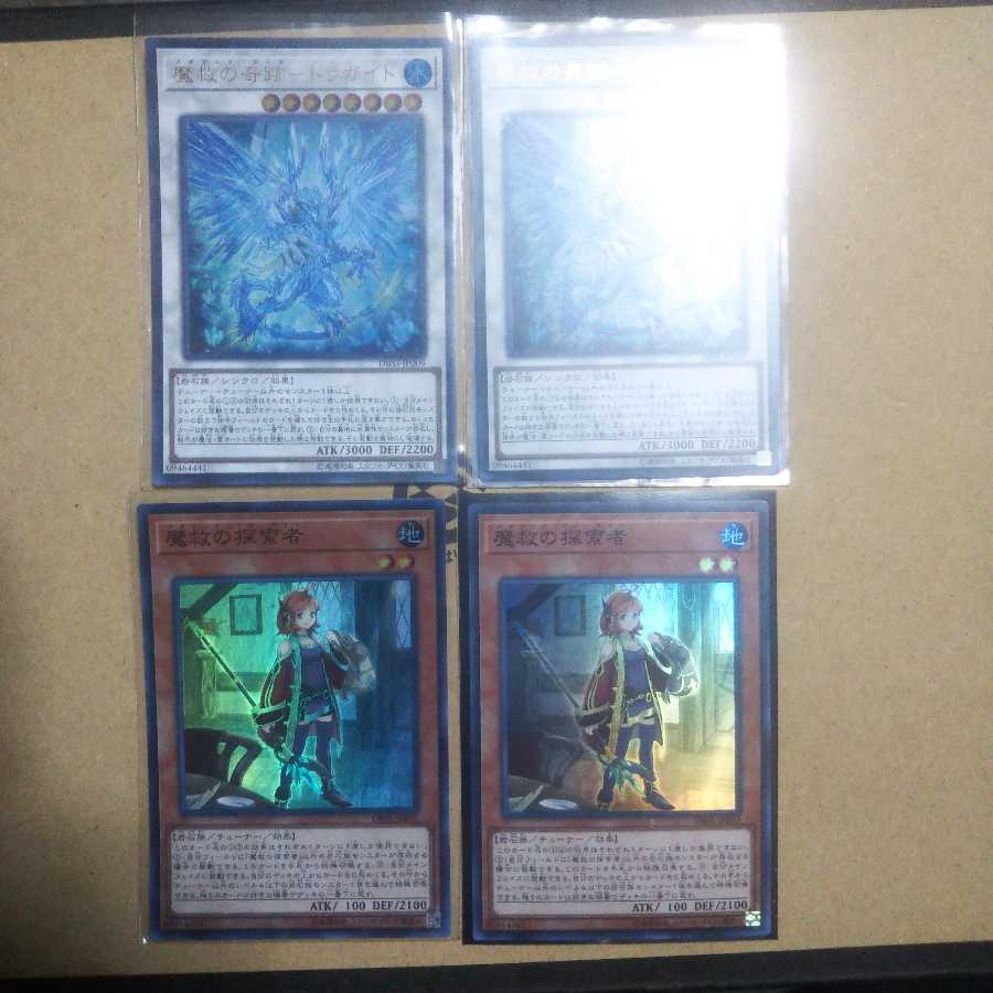 アダマシア セット