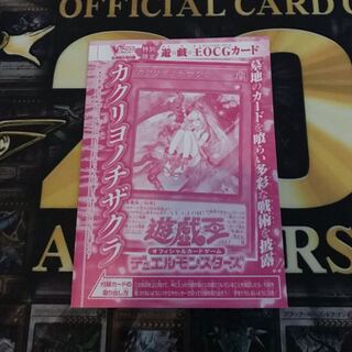 [即日発送可能] カクリヨノチザクラ