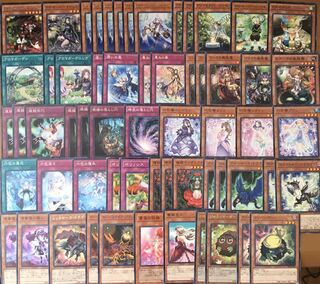 植物族詰め合わせデッキ77枚　EX13枚･スリーブ80枚付き