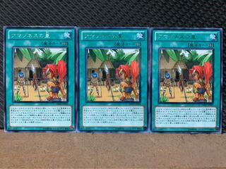 【ぽぽたん】遊戯王 2304 アマゾネスの里 3枚 レア