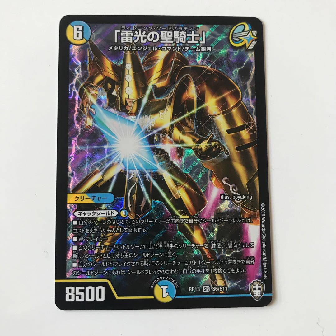 雷光の聖騎士 ライトニング・ソードパラディン