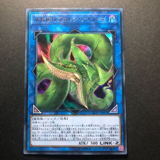 捕食植物ヴェルテ・アナコンダ UR ウルトラレア