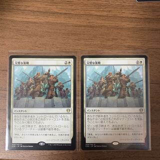 完璧な策略　2枚セット　