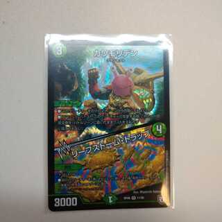 カワモリデン｜リーフストーム・トラップ