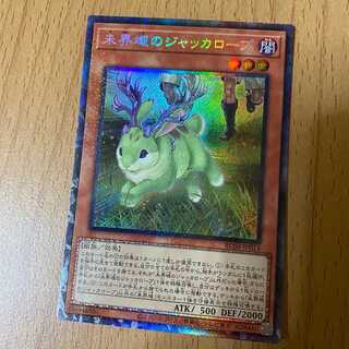 CR 未界域のジャッカロープ コレクターズレア