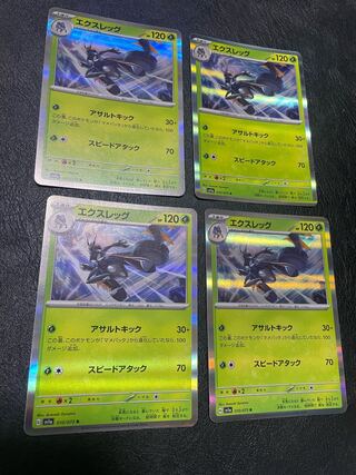 エクスレッグ R 010/073