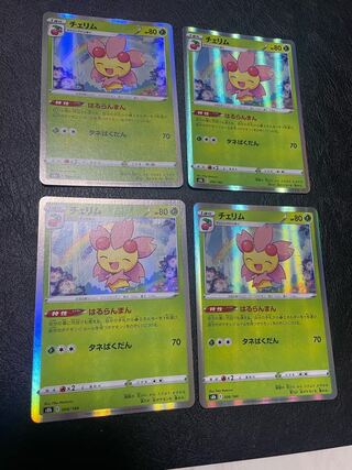 チェリム(R仕様) 006/184