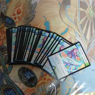 フェアリーシャワー 40枚