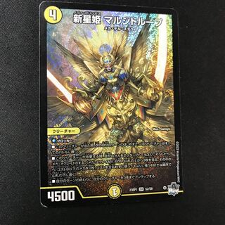 新星姫 マルシドループ SR S2/S8