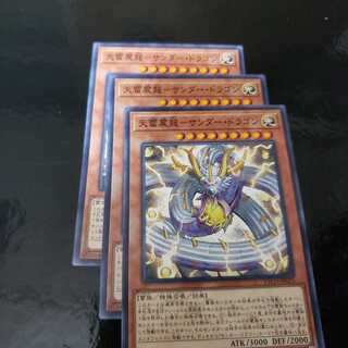 天雷震龍-サンダー・ドラゴン N