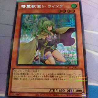 精霊獣使い ウィンダ シークレットパラレル 1枚