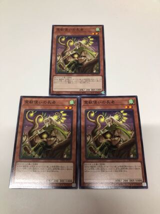 霊獣使いの長老　3枚セット