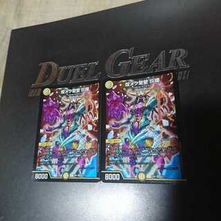 煌メク聖壁 灰瞳