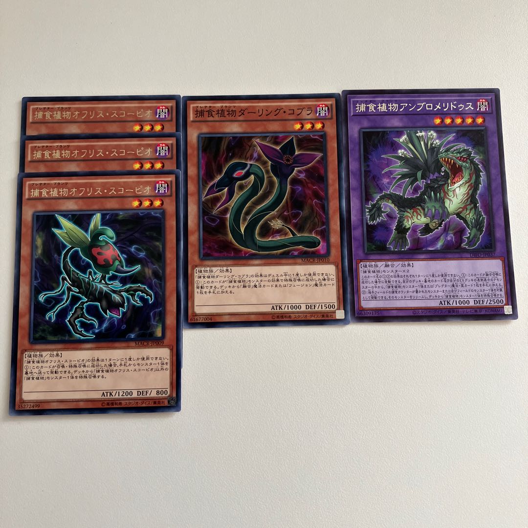 捕食植物オフリス・スコーピオ レア JP009 他2枚
