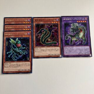 捕食植物オフリス・スコーピオ レア JP009 他2枚