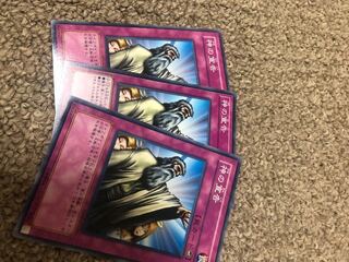 Solemn Judgment Normal