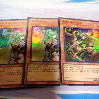 Spiritual Beast Tamer Winda Super Parallel, etc.