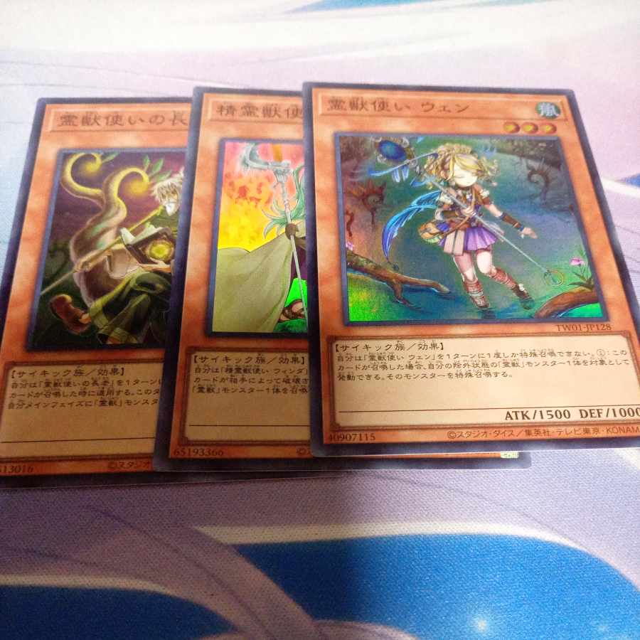 Ritual Beast Tamer Wen Super others