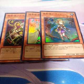 Ritual Beast Tamer Wen Super others