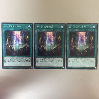 ガーディアンの力