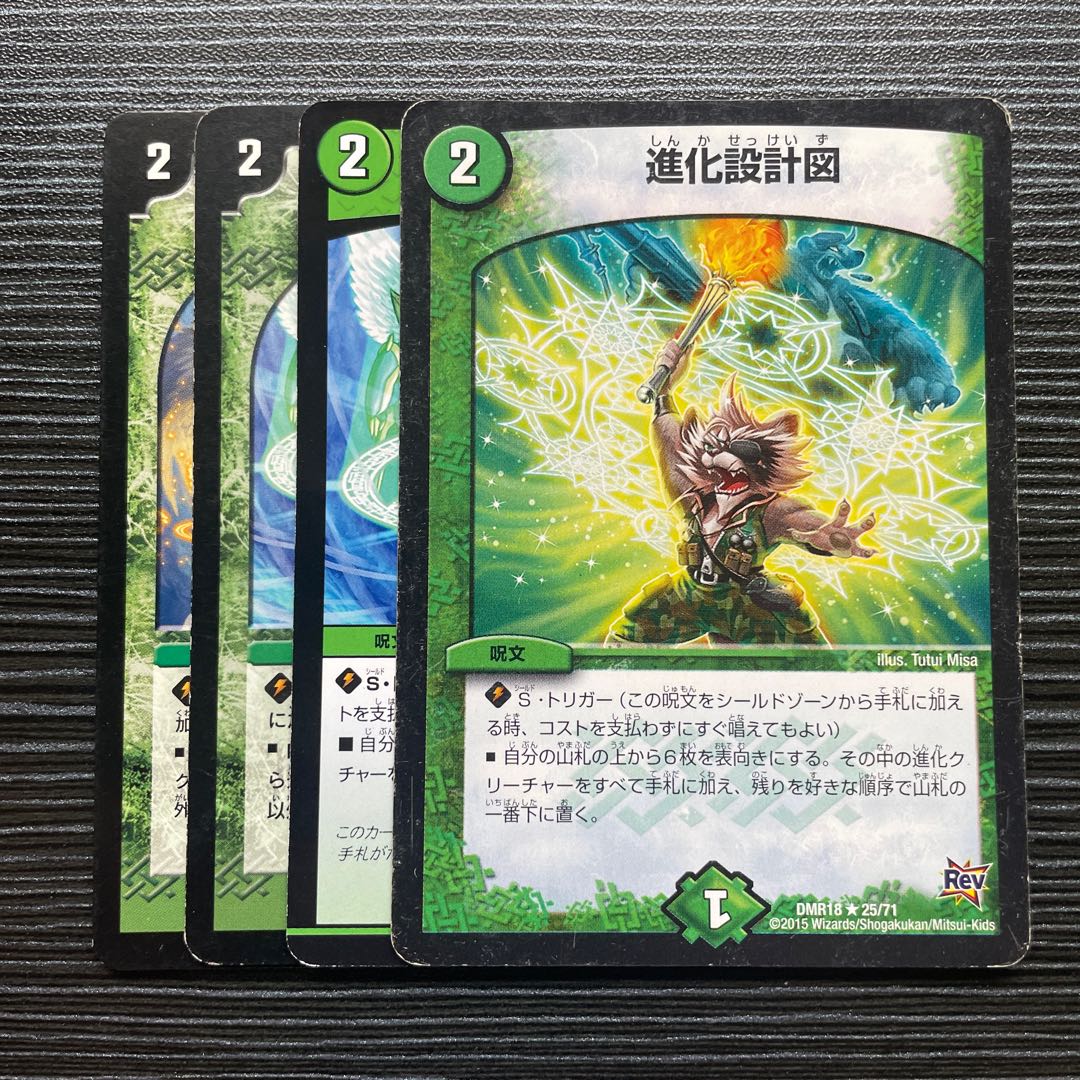 Evolutionary blueprint R