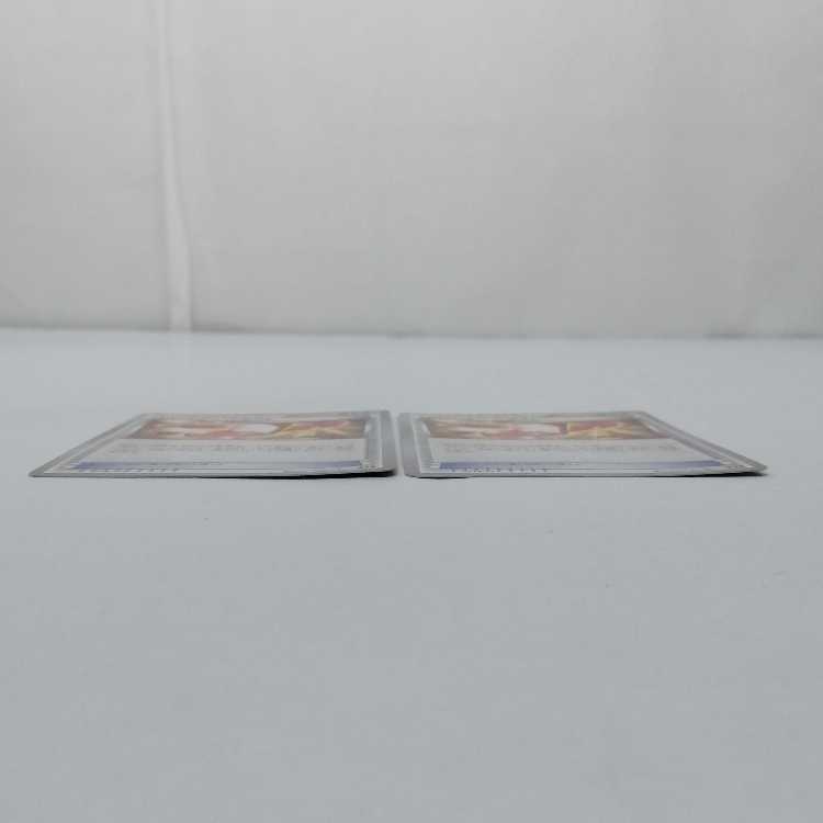 Trainers' Mail 113/171 XY