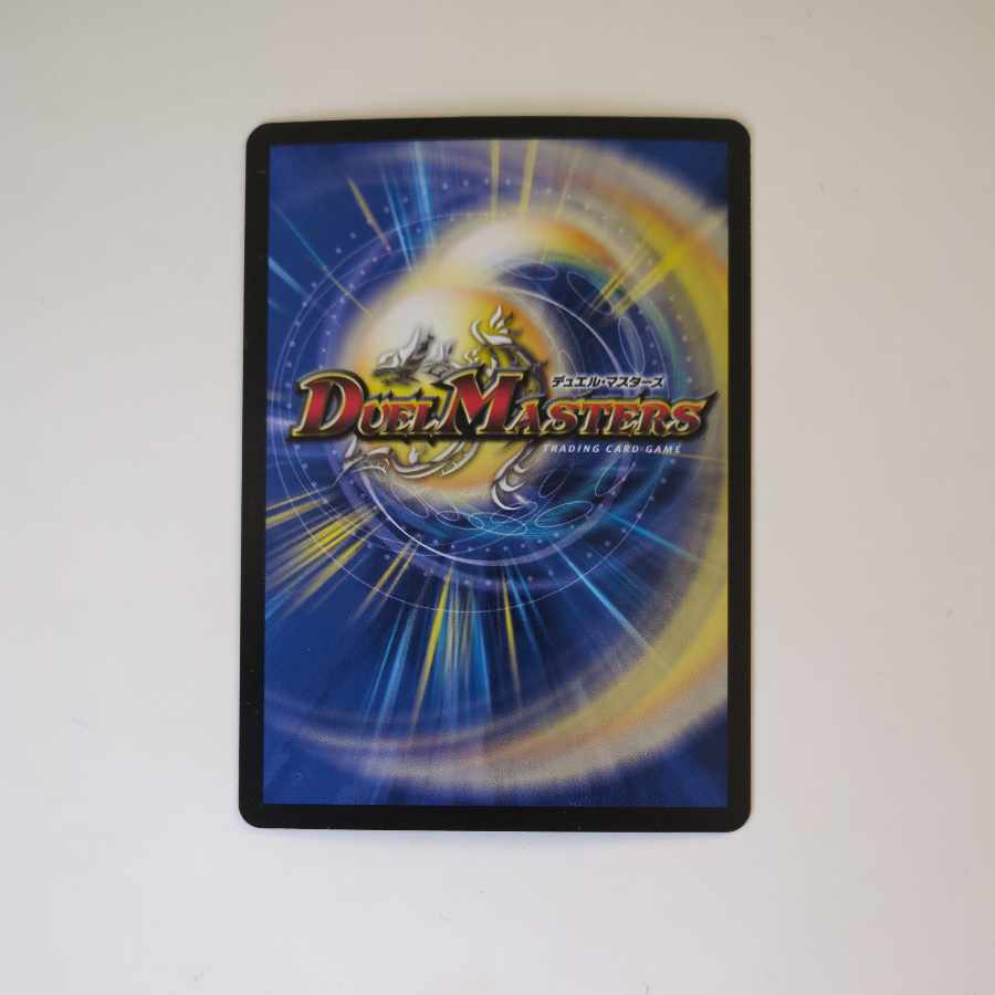 五番龍 レイクポーチャー ParZero SR S2/S8