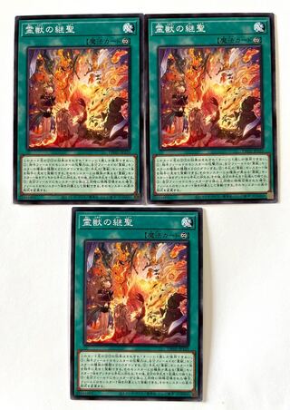 Succeeding Sage of the Spiritual Beast [Normal] JP125