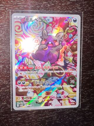 モルペコ AR 076/066